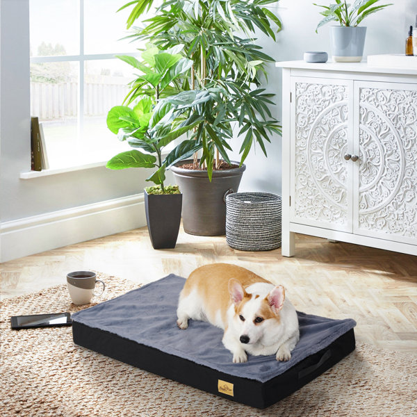 UNHO Travel Dog Beds in Black Wayfair.co.uk